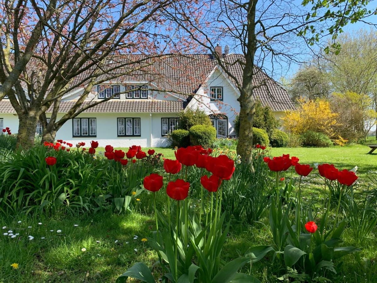 Apartment Haack Tumlauer Koog